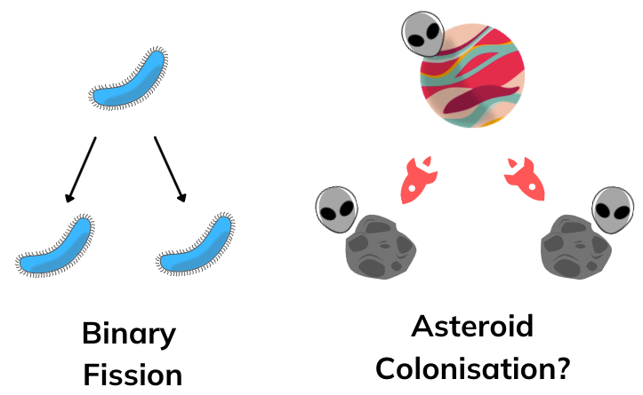 How would Alien evolution work?