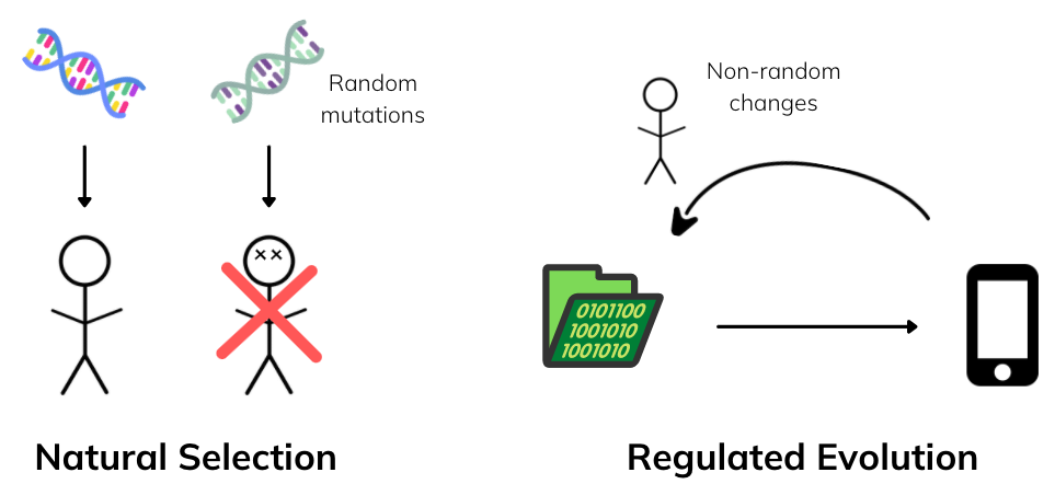 RegulatedEvolution