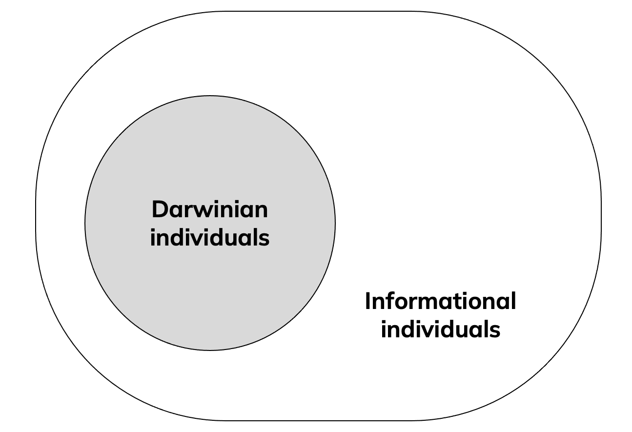 How information and individuality are connected