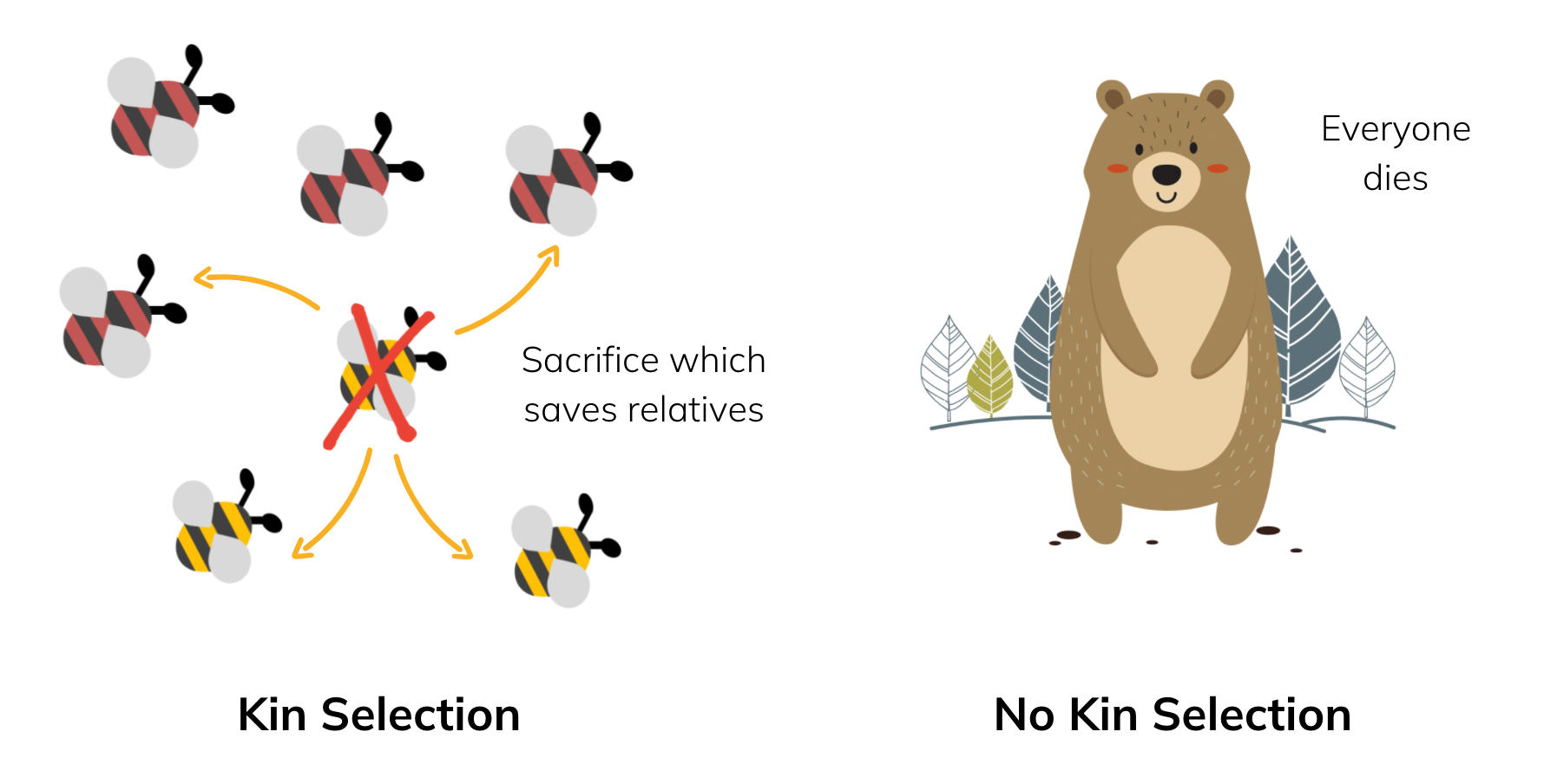 Kin Selection