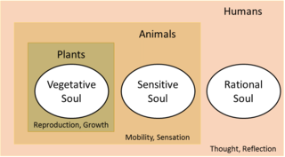 How A Single Metaphor Transformed Biology