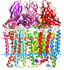 How NOT To Think About Cells