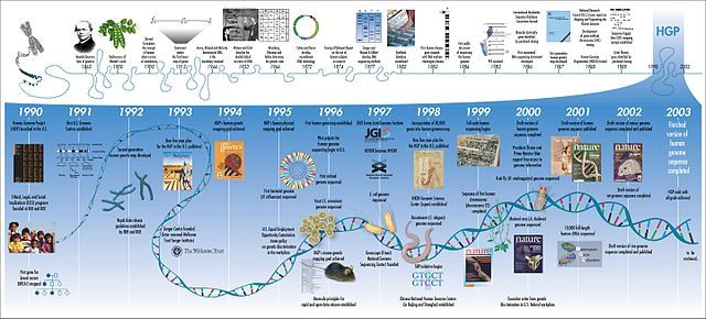 You've Been Lied To About Genetics