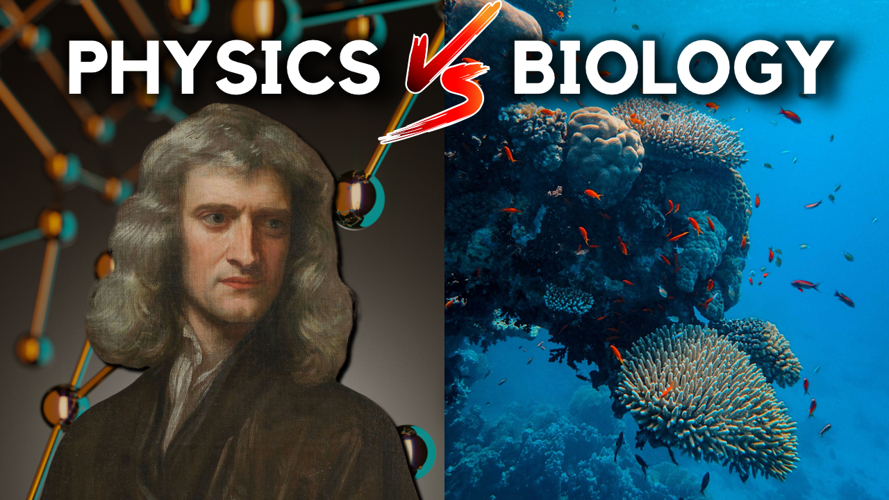 Can Biology Be Reduced To Physics?