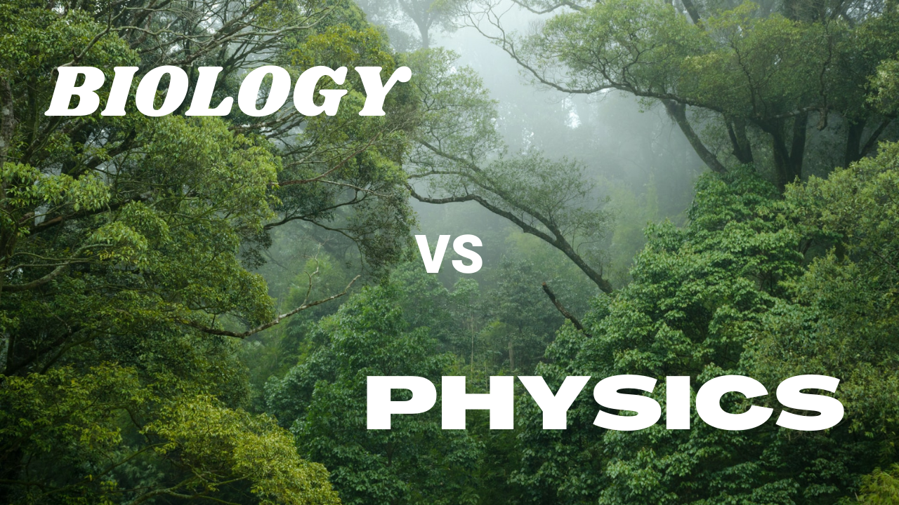 Why biology is not like physics