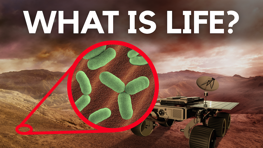 Have We Already Found Life On Mars?