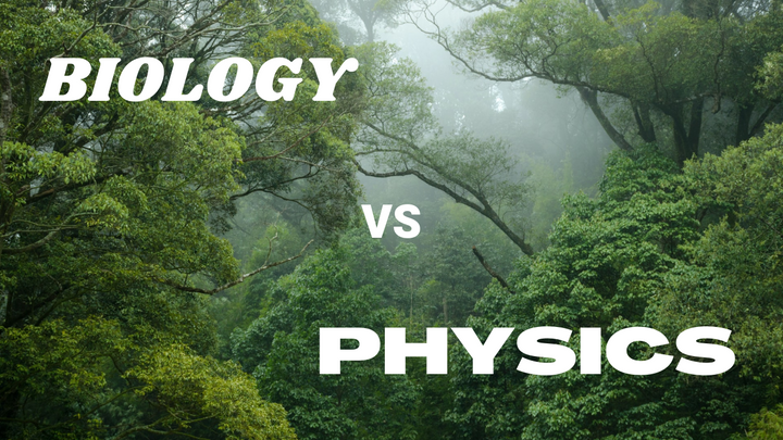 Biology vs Physics